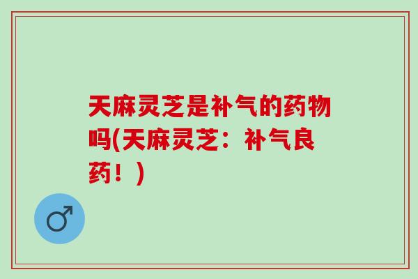 天麻灵芝是补气的药物吗(天麻灵芝：补气良药！)
