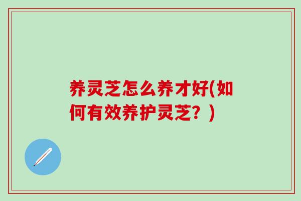 养灵芝怎么养才好(如何有效养护灵芝？)
