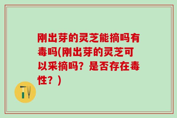 刚出芽的灵芝能摘吗有毒吗(刚出芽的灵芝可以采摘吗？是否存在毒性？)