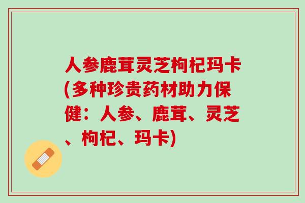 人参鹿茸灵芝枸杞玛卡(多种珍贵药材助力保健：人参、鹿茸、灵芝、枸杞、玛卡)