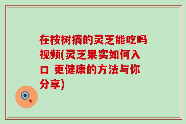 在桉树摘的灵芝能吃吗视频(灵芝果实如何入口 更健康的方法与你分享)