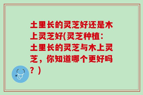 土里长的灵芝好还是木上灵芝好(灵芝种植：土里长的灵芝与木上灵芝，你知道哪个更好吗？)