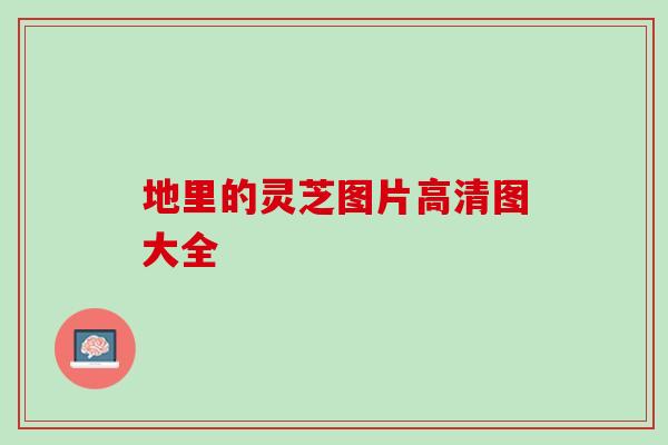 地里的灵芝图片高清图大全