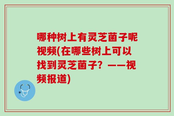 哪种树上有灵芝菌子呢视频(在哪些树上可以找到灵芝菌子?——视频报道) 哪种树上有灵芝菌子呢视频(在哪些树上可以找到灵芝菌子?——视频报道)