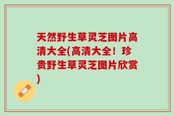 天然野生草灵芝图片高清大全(高清大全！珍贵野生草灵芝图片欣赏)