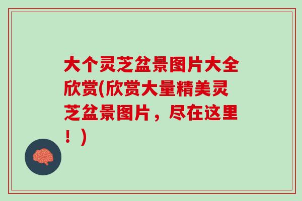 大个灵芝盆景图片大全欣赏(欣赏大量精美灵芝盆景图片，尽在这里！)