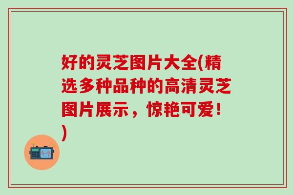 好的灵芝图片大全(精选多种品种的高清灵芝图片展示，惊艳可爱！)