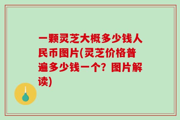 一颗灵芝大概多少钱人民币图片(灵芝价格普遍多少钱一个？图片解读)