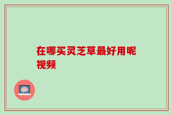 在哪买灵芝草最好用呢视频