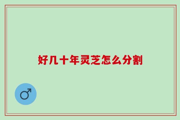好几十年灵芝怎么分割