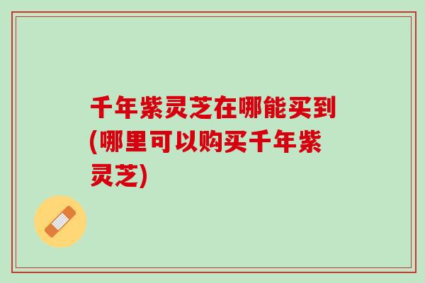 千年紫灵芝在哪能买到(哪里可以购买千年紫灵芝)