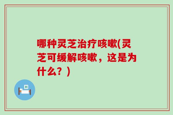 哪种灵芝治疗咳嗽(灵芝可缓解咳嗽，这是为什么？)