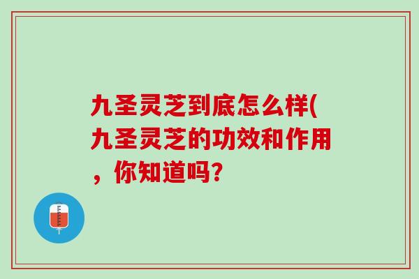 九圣灵芝到底怎么样(九圣灵芝的功效和作用，你知道吗？