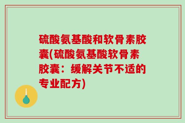 硫酸氨基酸和软骨素胶囊(硫酸氨基酸软骨素胶囊：缓解关节不适的专业配方)