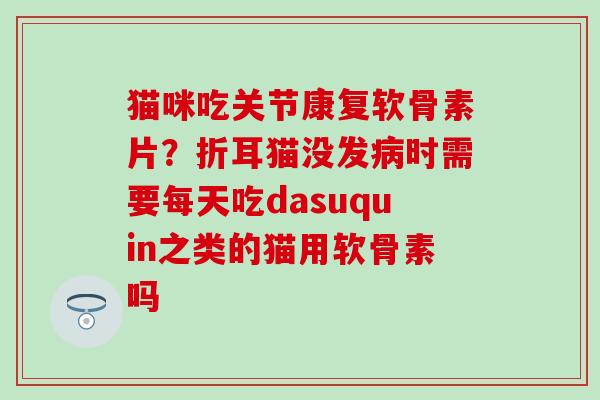 猫咪吃关节康复软骨素片？折耳猫没发病时需要每天吃dasuquin之类的猫用软骨素吗