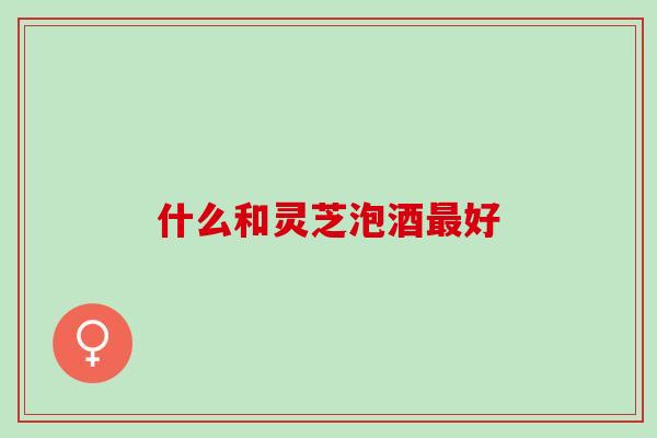 什么和灵芝泡酒最好