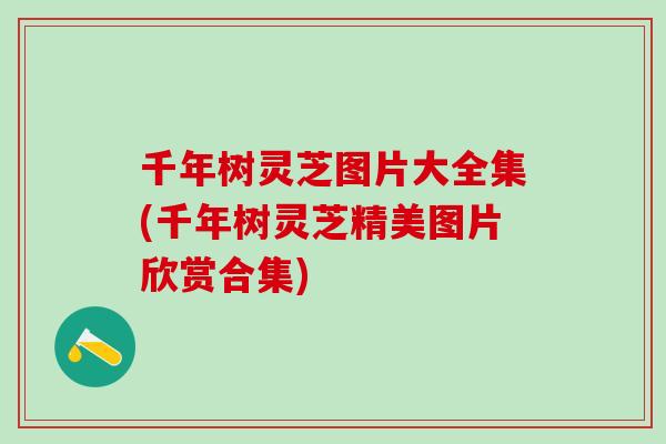 千年树灵芝图片大全集(千年树灵芝精美图片欣赏合集)