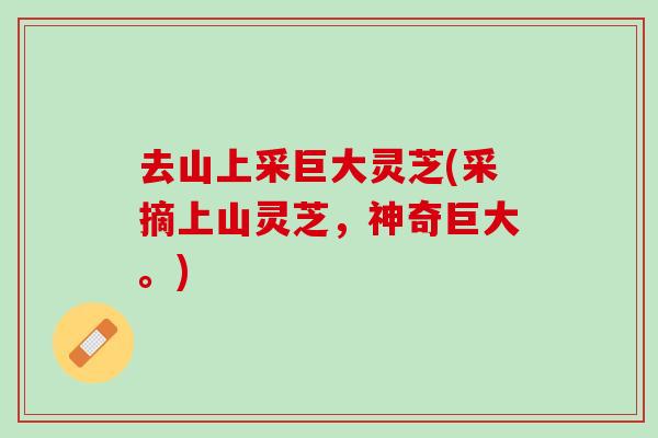 去山上采巨大灵芝(采摘上山灵芝，神奇巨大。)