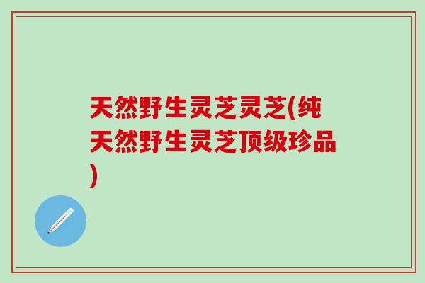 天然野生灵芝灵芝(纯天然野生灵芝顶级珍品)