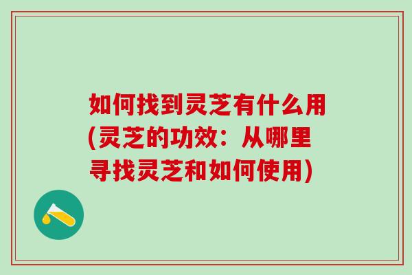 如何找到灵芝有什么用(灵芝的功效：从哪里寻找灵芝和如何使用)