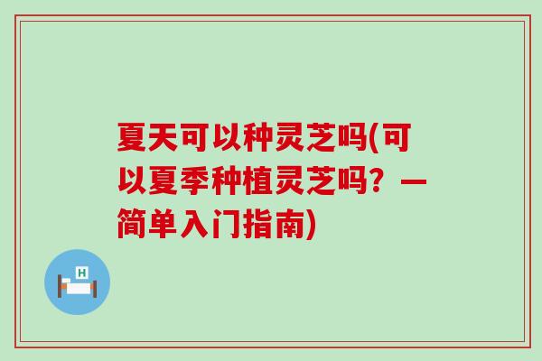 夏天可以种灵芝吗(可以夏季种植灵芝吗？—简单入门指南)