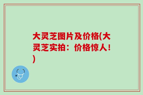 大灵芝图片及价格(大灵芝实拍：价格惊人！)