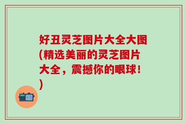好丑灵芝图片大全大图(精选美丽的灵芝图片大全，震撼你的眼球！)