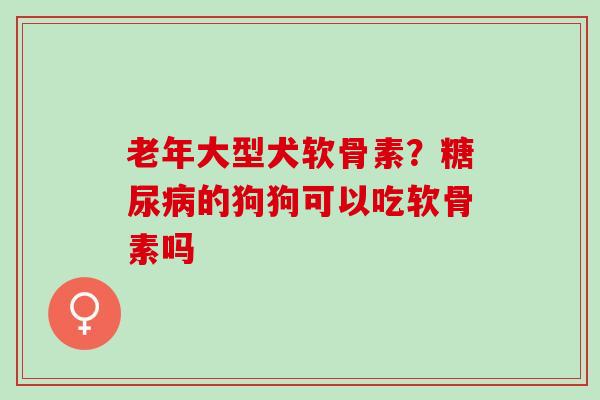 老年大型犬软骨素？糖尿病的狗狗可以吃软骨素吗