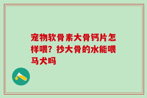 宠物软骨素大骨钙片怎样喂？抄大骨的水能喂马犬吗
