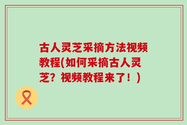 古人灵芝采摘方法视频教程(如何采摘古人灵芝？视频教程来了！)
