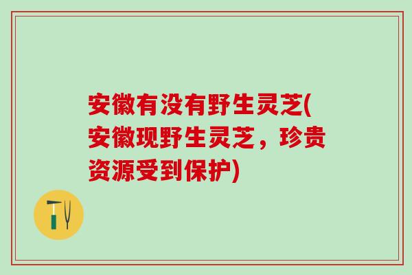 安徽有没有野生灵芝(安徽现野生灵芝，珍贵资源受到保护)