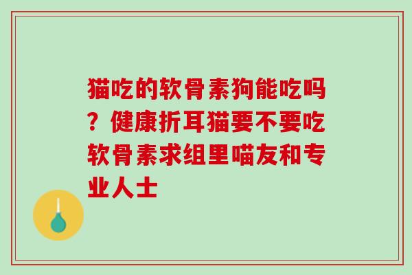 猫吃的软骨素狗能吃吗？健康折耳猫要不要吃软骨素求组里喵友和专业人士