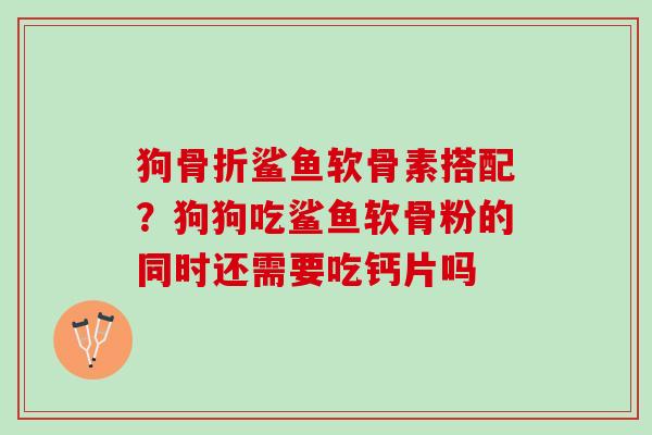 狗骨折鲨鱼软骨素搭配？狗狗吃鲨鱼软骨粉的同时还需要吃钙片吗