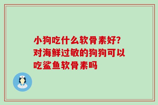 小狗吃什么软骨素好？对海鲜过敏的狗狗可以吃鲨鱼软骨素吗
