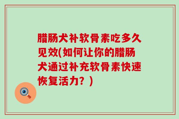 腊肠犬补软骨素吃多久见效(如何让你的腊肠犬通过补充软骨素快速恢复活力？)