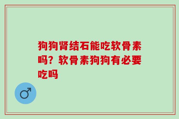 狗狗肾结石能吃软骨素吗？软骨素狗狗有必要吃吗