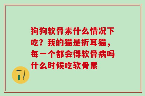 狗狗软骨素什么情况下吃？我的猫是折耳猫，每一个都会得软骨病吗什么时候吃软骨素