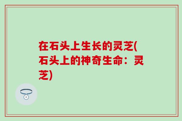 在石头上生长的灵芝(石头上的神奇生命：灵芝)