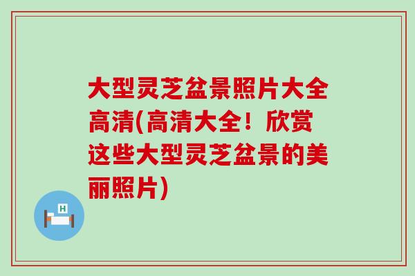 大型灵芝盆景照片大全高清(高清大全！欣赏这些大型灵芝盆景的美丽照片)