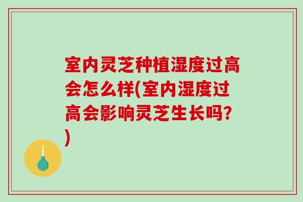室内灵芝种植湿度过高会怎么样(室内湿度过高会影响灵芝生长吗？)