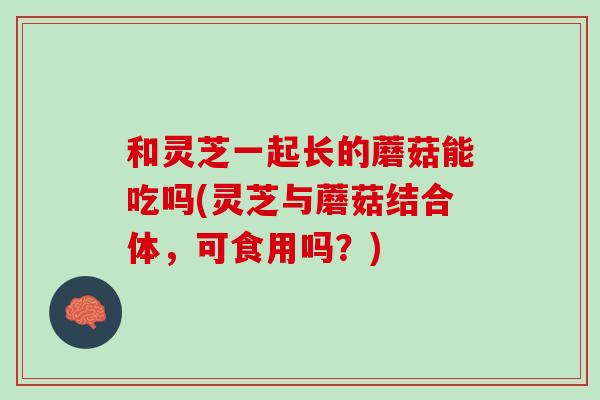 和灵芝一起长的蘑菇能吃吗(灵芝与蘑菇结合体，可食用吗？)