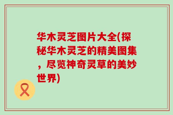 华木灵芝图片大全(探秘华木灵芝的精美图集，尽览神奇灵草的美妙世界)