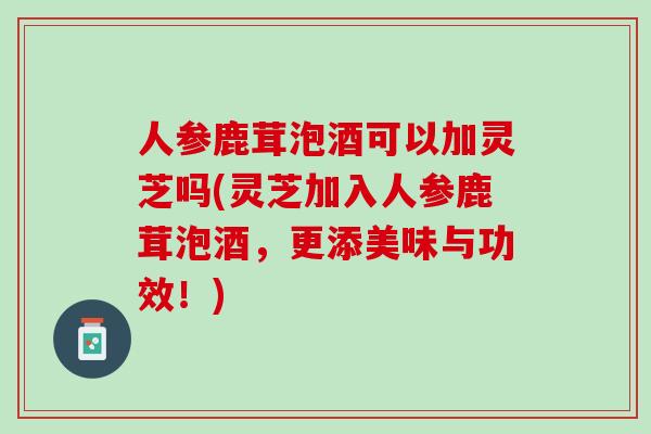 人参鹿茸泡酒可以加灵芝吗(灵芝加入人参鹿茸泡酒，更添美味与功效！)
