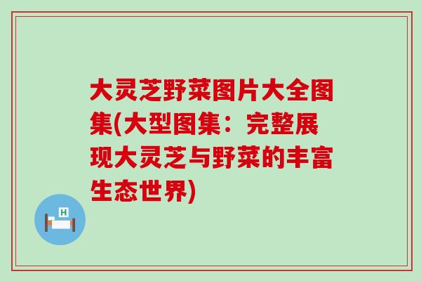 大灵芝野菜图片大全图集(大型图集：完整展现大灵芝与野菜的丰富生态世界)