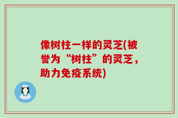 像树柱一样的灵芝(被誉为“树柱”的灵芝，助力免疫系统)