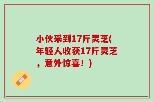 小伙采到17斤灵芝(年轻人收获17斤灵芝，意外惊喜！)