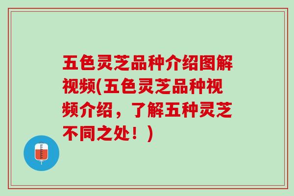 五色灵芝品种介绍图解视频(五色灵芝品种视频介绍，了解五种灵芝不同之处！)