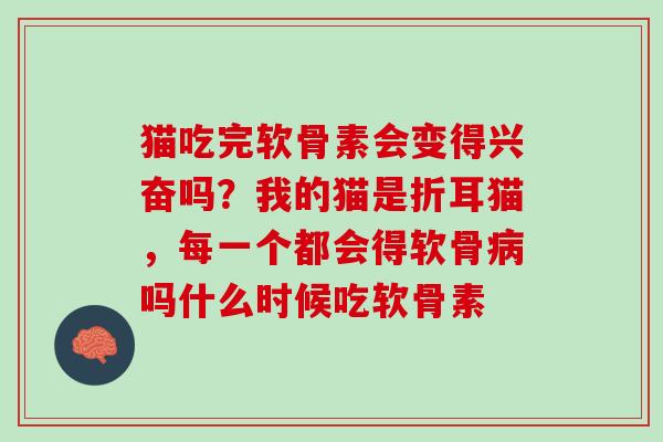猫吃完软骨素会变得兴奋吗？我的猫是折耳猫，每一个都会得软骨病吗什么时候吃软骨素