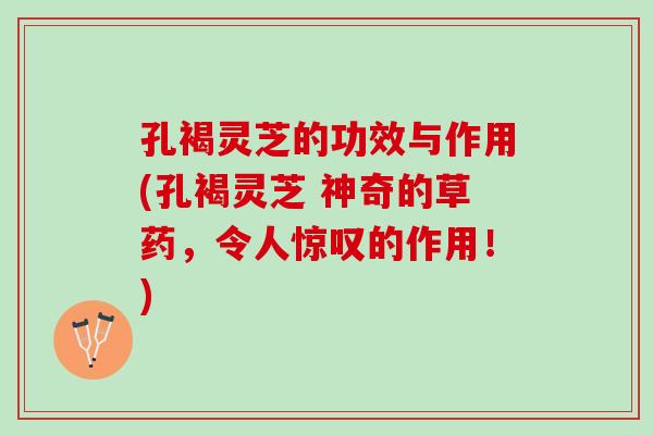 孔褐灵芝的功效与作用(孔褐灵芝 神奇的草药，令人惊叹的作用！)
