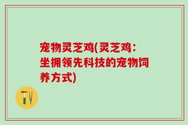 宠物灵芝鸡(灵芝鸡：坐拥领先科技的宠物饲养方式)